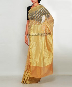 Online shopping for celebrity party wear sarees by unnatisilks