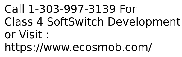 Class 4 SoftSwitch Solution for Wholesale Carriers