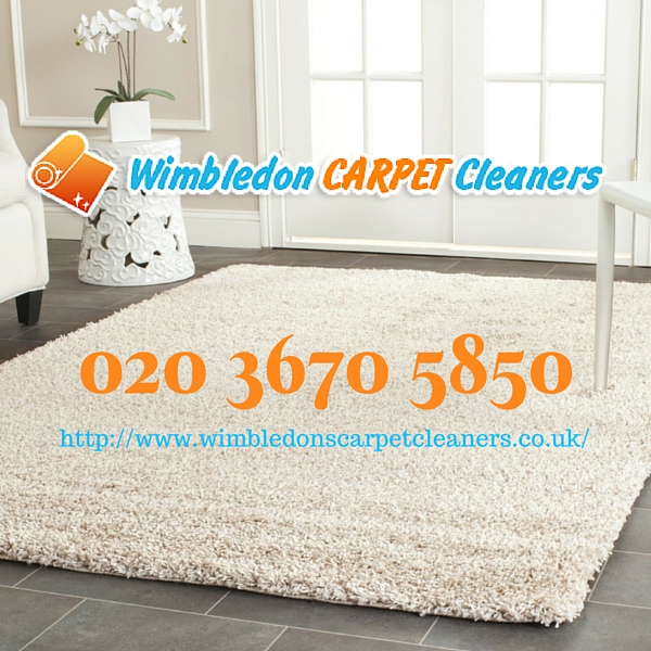 Affordable carpet cleaning in Wimbledon