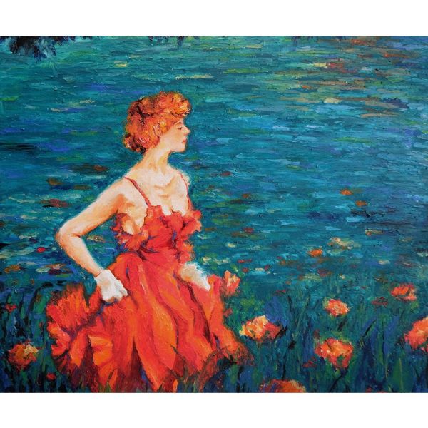 Haiying printed cross stitch 11ct 50*43cm