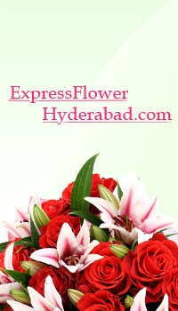 Beautiful creations of nature for your beautiful terms