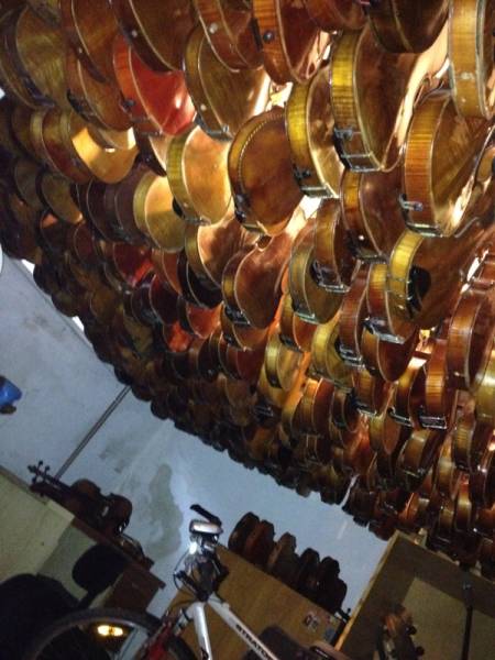 Collection of old violins
