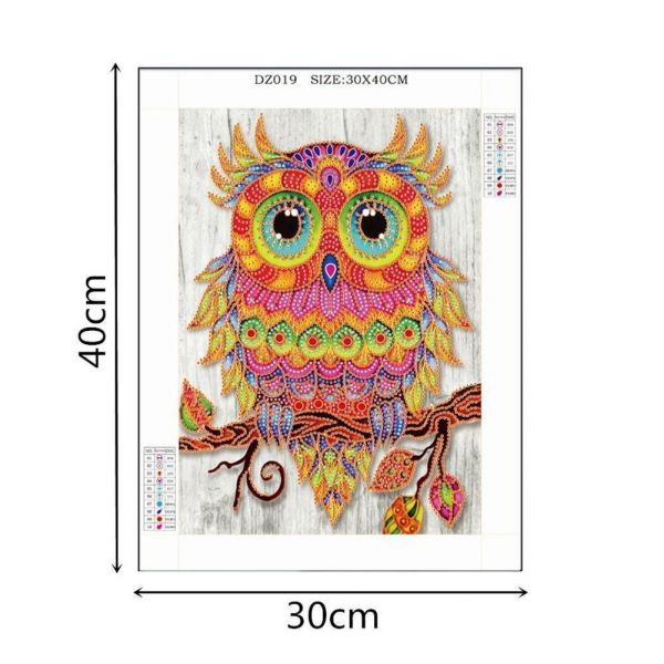 Colored Bird -5D picture size diamond paintings