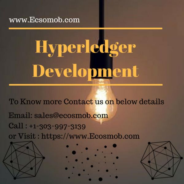 Decentralized Enterprise Application Using Hyperledger Development