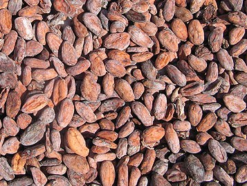 Mature Dried Flaour High Quality Cocoa Bean for Sale