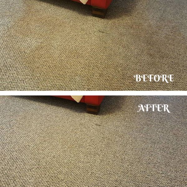 Kingston Cleaners | Affordable Cleaning Services