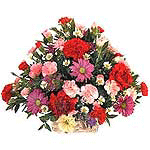 Send Gifts & Flowers to India