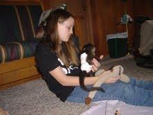 SWEET FEMALE CAPUCHIN MONKEY FOR ADOPTION