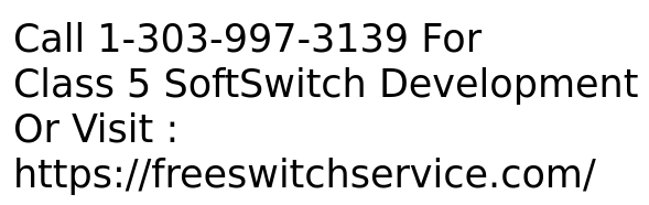 Class 5 SoftSWITCH a retail solution