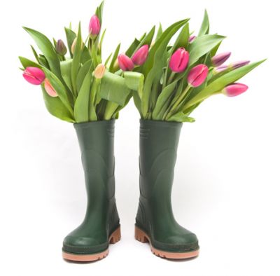 Sunday Talk: Everyday Karma