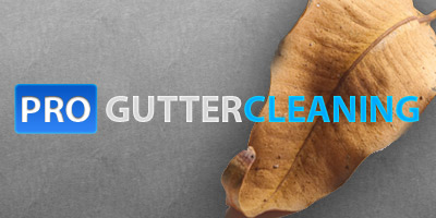 Pro Gutter Cleaning