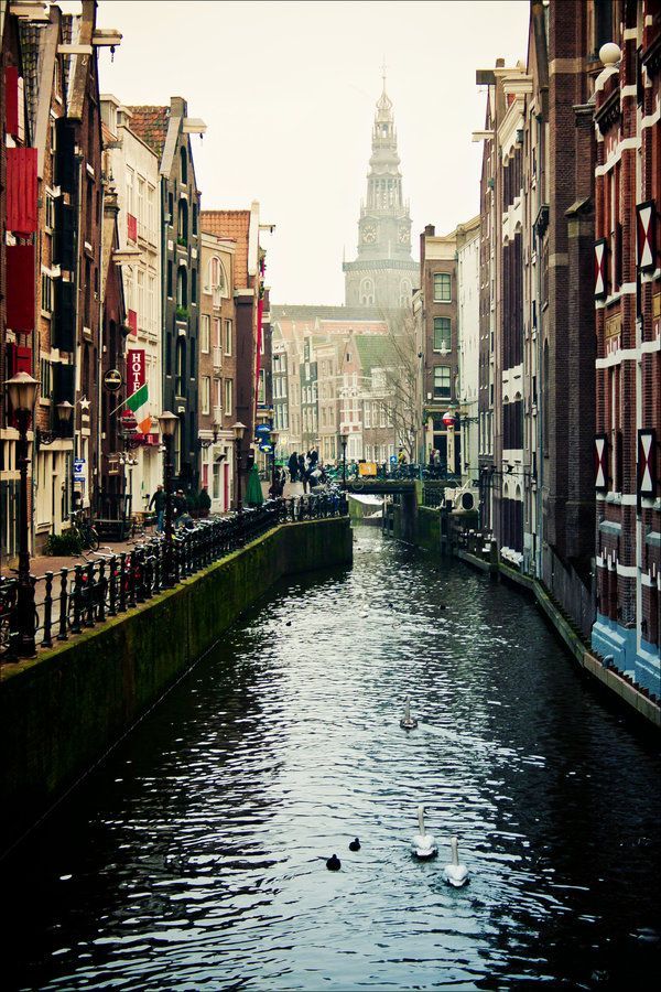 Noori visa and Noori travel LTD