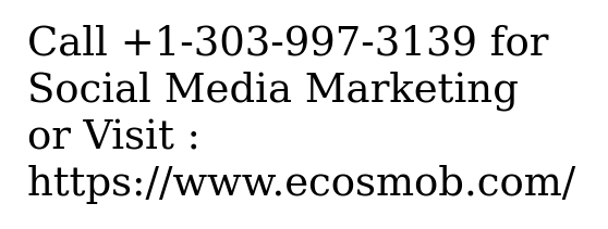 Widen Your Online Reach by Leveraging the Power of Social Media