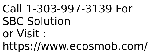 SBC – Secure, Flexible, Compelling With Abundant Features