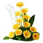 Bang your celebration with gift extravaganza