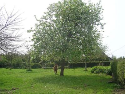 Bed and Breakfast Normandy B&B