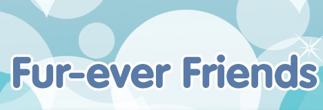 Call Fur-Ever Friends for Finest Dog Grooming Service in Biggleswade