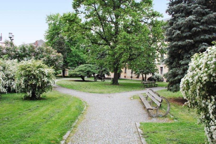 Apartment for sale in the historic heart of Olomouc, CZ