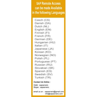 SAP Servers for Remote access from 49.99 US$