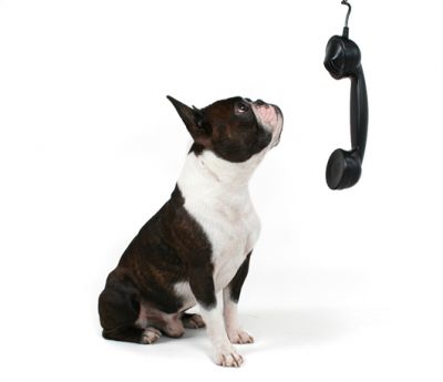 Sunday Talk: Art of Conversation