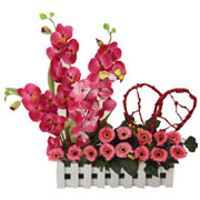 A festivity to gift for to your loved ones in India