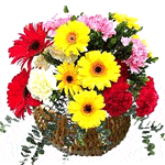 Flowers to announce celebration mantra louder 