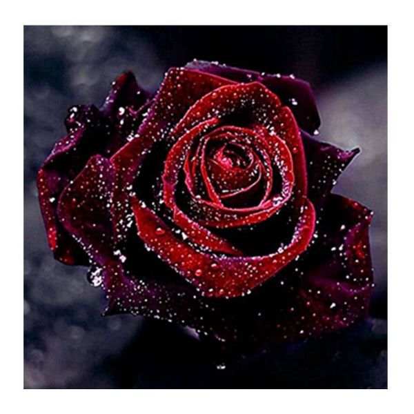 Rose Partial DRILL-5D picture dimensions diamond painting