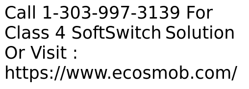 Class 4 SoftSwitch Solution Tandem Capabilities