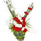 The world is waiting for your wish through us