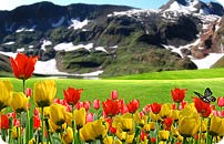 Paradise has the synonym called Kashmir