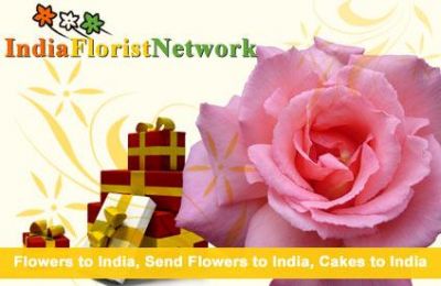 Our coverage meets your gifts destination everywhere