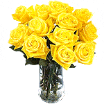 Beautiful creations of nature for your beautiful terms