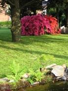 MONZA F1 AUTODROMO ITALY - ROOMS TO RENT 10-11-12 Septmber- min 3 nights stay