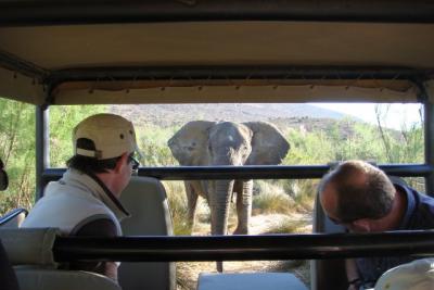 Cape Town Safaris and tours
