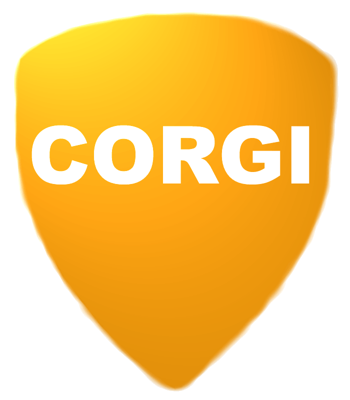 07765329957 Bloomsbury Gas cooker commercial gas WC2 Leicester Square WC1 Plumbers Awarded