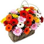 Send Flowers and Gifts all over Marseille