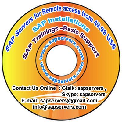 SAP Servers for Remote access from 49.99 US$- SAP Installations-