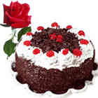 Floral flash from www.rightflorist.in for your Kolkata terms