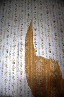 Painter Decorator Property Maintenance All Jobs Considered No Job is too Small or too Big