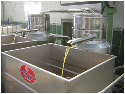 Buy Sunflower Oil,Coconut Oil,Palm Oil, Oive Oil etc in Bulk.