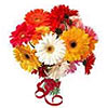 www.rightflorist.com