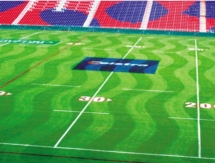 sir walter turf | windsor turf supplies