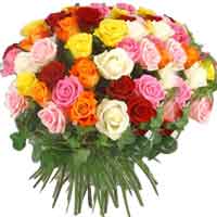 Cash on the sizzling celebrations with exciting gift items