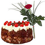 www.expresscakesindia.com