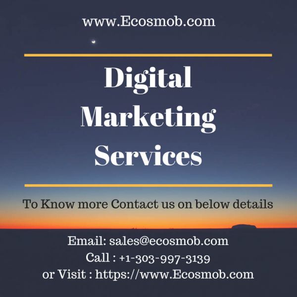 Revolutionized Digital Marketing Services for Business Promotion