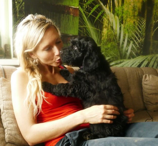 Black Russian Terrier - Puppies