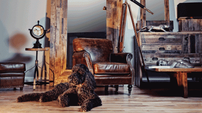 Dining room furniture