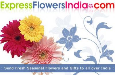 Express your emotions with Express Flowers priceless relations