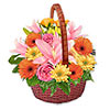 www.rightflorist.com