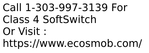 Class 4 Softswitch for VoIP Service Providers